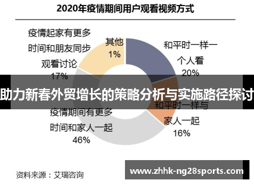 助力新春外贸增长的策略分析与实施路径探讨