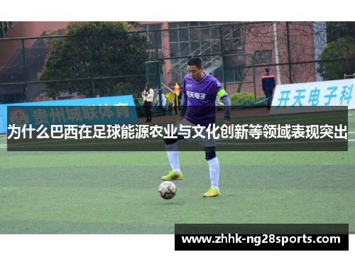 为什么巴西在足球能源农业与文化创新等领域表现突出