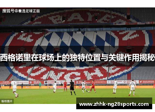 西格诺里在球场上的独特位置与关键作用揭秘