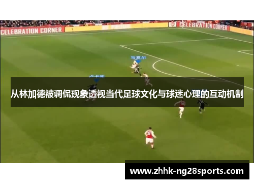 从林加德被调侃现象透视当代足球文化与球迷心理的互动机制