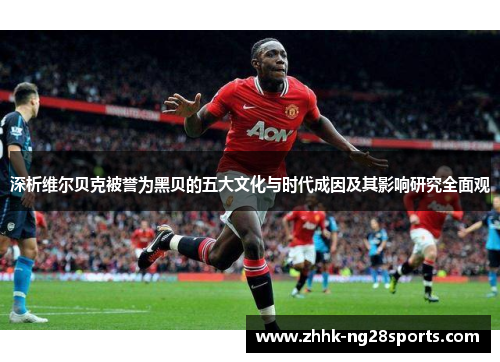 深析维尔贝克被誉为黑贝的五大文化与时代成因及其影响研究全面观